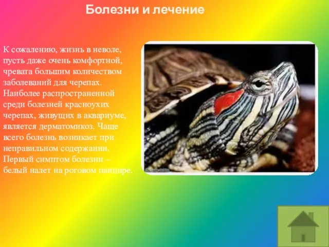 К сожалению, жизнь в неволе, пусть даже очень комфортной, чревата большим количеством