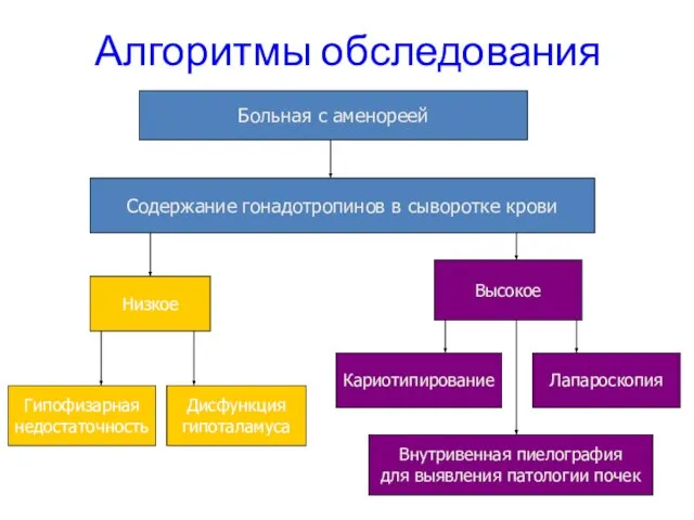 Алгоритмы обследования Больная с аменореей Содержание гонадотропинов в сыворотке крови Низкое Высокое