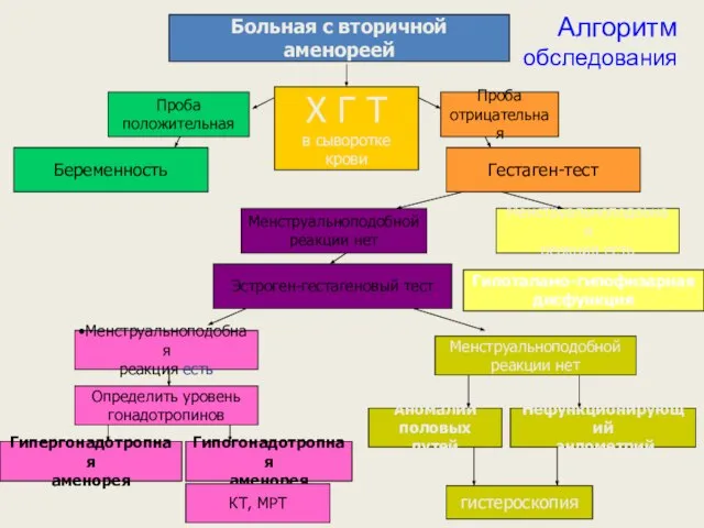 Алгоритм обследования Больная с вторичной аменореей Х Г Т в сыворотке крови