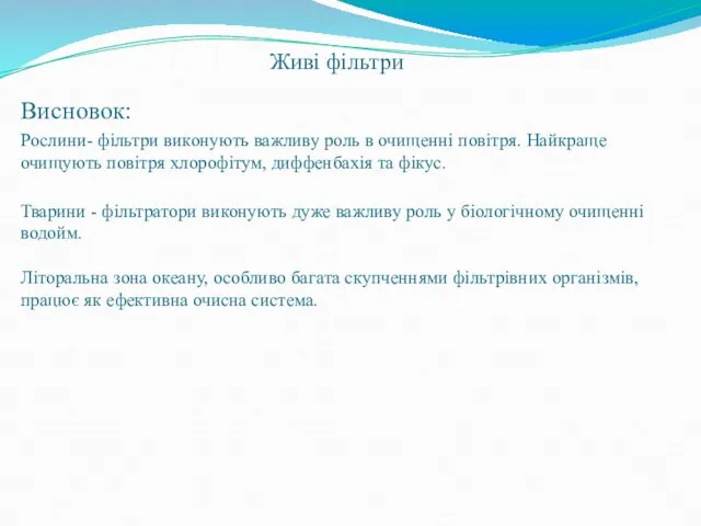 Живі фільтри Висновок: Рослини- фільтри виконують важливу роль в очищенні повітря. Найкраще