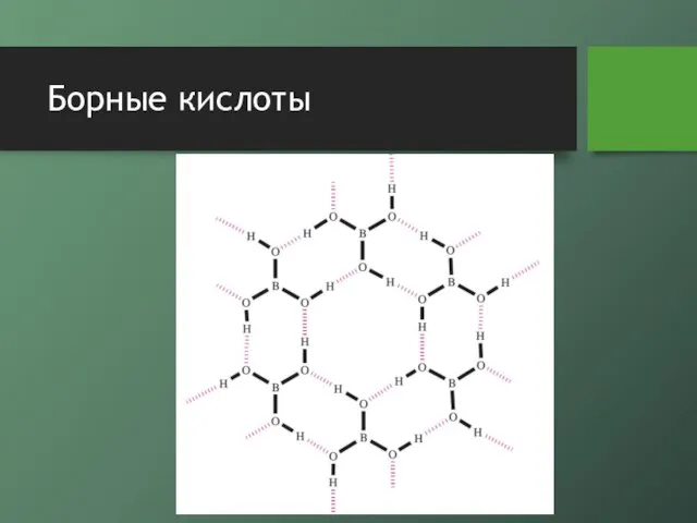 Борные кислоты