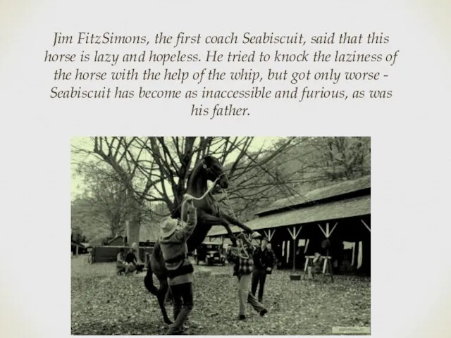 Jim FitzSimons, the first coach Seabiscuit, said that this horse is lazy