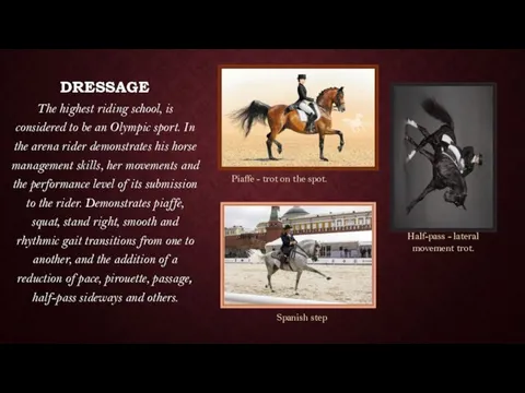 DRESSAGE The highest riding school, is considered to be an Olympic sport.