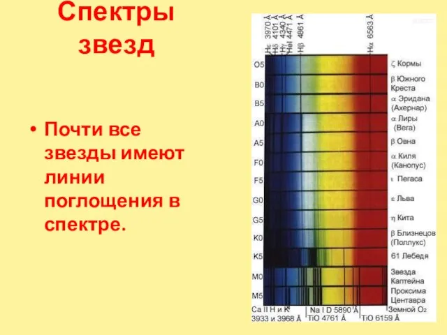 Спектры звезд Почти все звезды имеют линии поглощения в спектре.