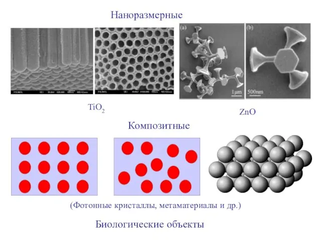 Композитные Наноразмерные TiO2 ZnO Биологические объекты (Фотонные кристаллы, метаматериалы и др.)