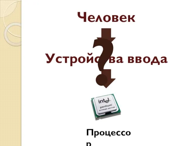 Процессор Устройства ввода Человек ?