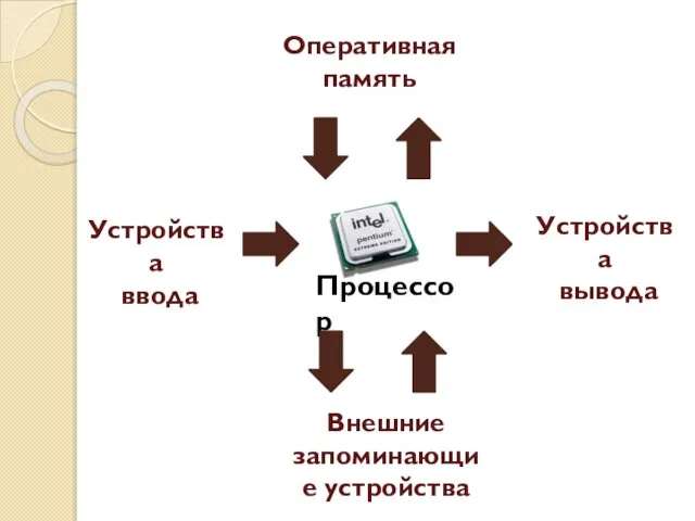 Устройства ввода Устройства вывода Внешние запоминающие устройства Оперативная память