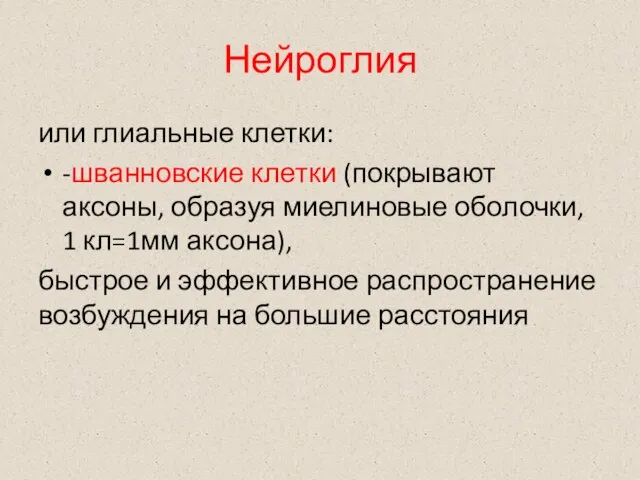 Нейроглия или глиальные клетки: -шванновские клетки (покрывают аксоны, образуя миелиновые оболочки, 1