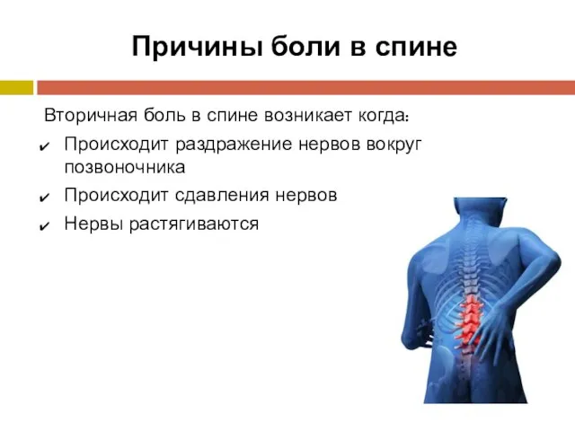 Причины боли в спине Вторичная боль в спине возникает когда: Происходит раздражение