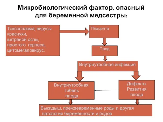 Микробиологический фактор, опасный для беременной медсестры: Плацента Плод Внутриутробная инфекция Токсоплазма, вирусы