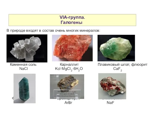 VIA-группа. Галогены В природе входят в состав очень многих минералов: Каменная соль