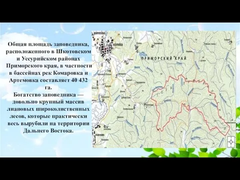 Общая площадь заповедника, расположенного в Шкотовском и Уссурийском районах Приморского края, в