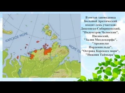 В состав заповедника Большой Арктический входит семь участков: Диксонско-Сибиряковский, "Полуостров Челюскин", Пясинский,