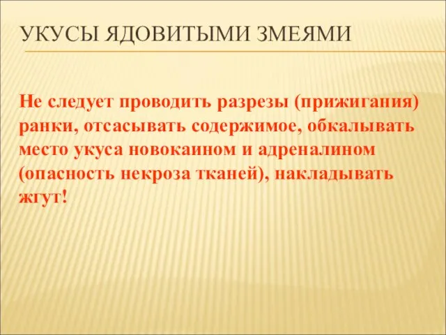 УКУСЫ ЯДОВИТЫМИ ЗМЕЯМИ Не следует проводить разрезы (прижигания) ранки, отсасывать содержимое, обкалывать