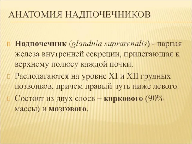 АНАТОМИЯ НАДПОЧЕЧНИКОВ Надпочечник (glandula suprarenalis) - парная железа внутренней секреции, прилегающая к