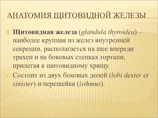 АНАТОМИЯ ЩИТОВИДНОЙ ЖЕЛЕЗЫ Щитовидная железа (glandula thyroidea) – наиболее крупная из желез