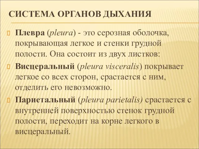 СИСТЕМА ОРГАНОВ ДЫХАНИЯ Плевра (pleura) - это серозная оболочка, покрывающая легкое и