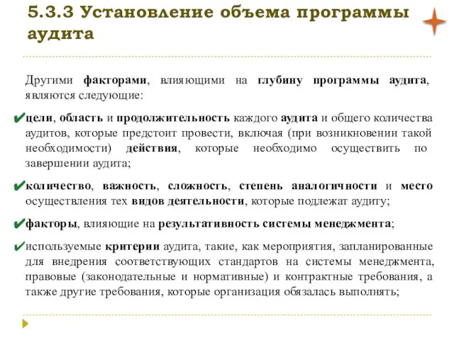 5.3.3 Установление объема программы аудита Другими факторами, влияющими на глубину программы аудита,