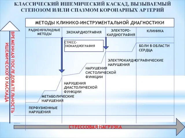 КЛАССИЧЕСКИЙ ИШЕМИЧЕСКИЙ КАСКАД, ВЫЗЫВАЕМЫЙ СТЕНОЗОМ И/ИЛИ СПАЗМОМ КОРОНАРНЫХ АРТЕРИЙ СТР СТРЕССОВАЯ НАГРУЗКА