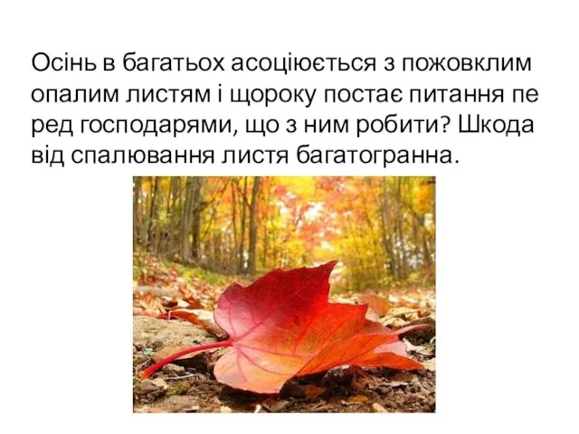 Осінь в багатьох асоціюється з пожовклим опалим листям і щороку постає питання