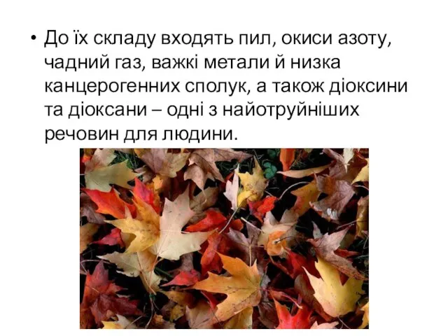 До їх складу входять пил, окиси азоту, чадний газ, важкі метали й