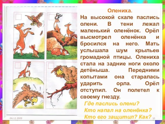 06.12.2009 Олениха. На высокой скале паслись олени. В тени лежал маленький оленёнок.