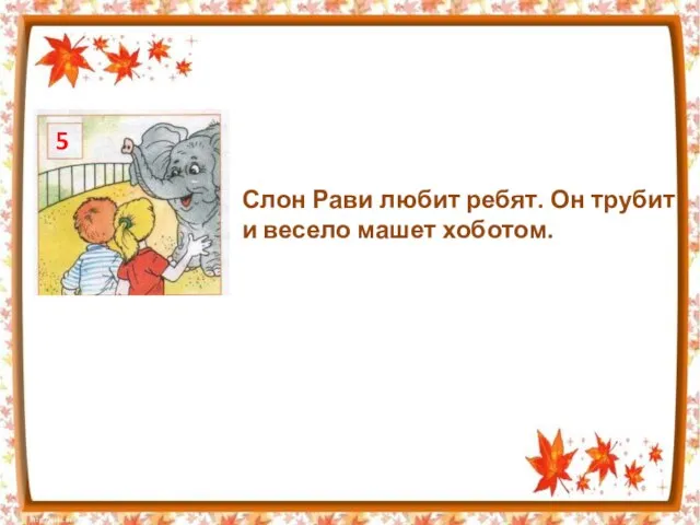 5 Слон Рави любит ребят. Он трубит и весело машет хоботом.