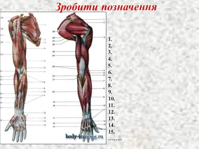 Зробити позначення 1. 2. 3. 4. 5. 6. 7. 8. 9. 10.