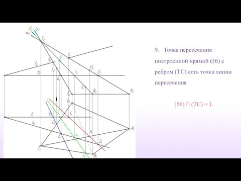 9. Точка пересечения построенной прямой (56) с ребром (TС) есть точка линии