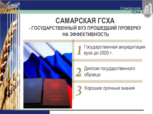 САМАРСКАЯ ГСХА - ГОСУДАРСТВЕННЫЙ ВУЗ ПРОШЕДШИЙ ПРОВЕРКУ НА ЭФФЕКТИВНОСТЬ Диплом государственного образца