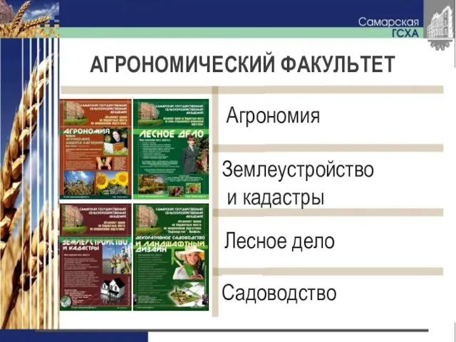 АГРОНОМИЧЕСКИЙ ФАКУЛЬТЕТ Агрономия Садоводство Лесное дело Землеустройство и кадастры