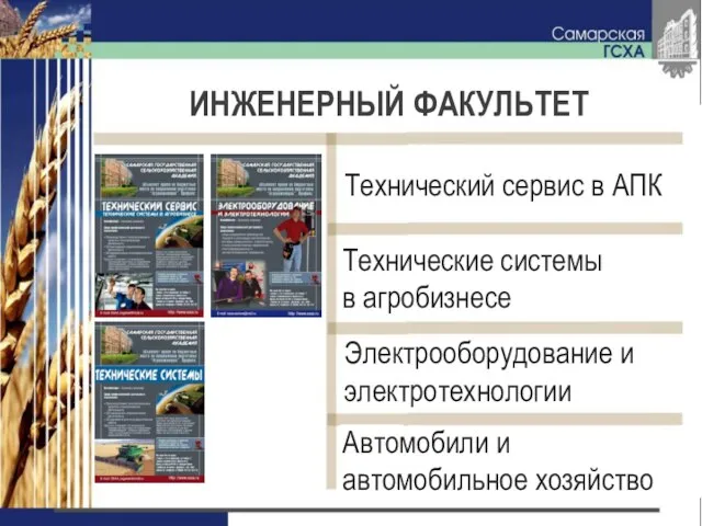 ИНЖЕНЕРНЫЙ ФАКУЛЬТЕТ Технический сервис в АПК Технические системы в агробизнесе Электрооборудование и