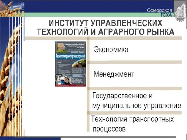 ИНСТИТУТ УПРАВЛЕНЧЕСКИХ ТЕХНОЛОГИЙ И АГРАРНОГО РЫНКА Государственное и муниципальное управление Экономика Менеджмент Технология транспортных процессов