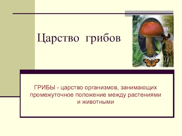 Царство грибов ГРИБЫ - царство организмов, занимающих промежуточное положение между растениями и животными