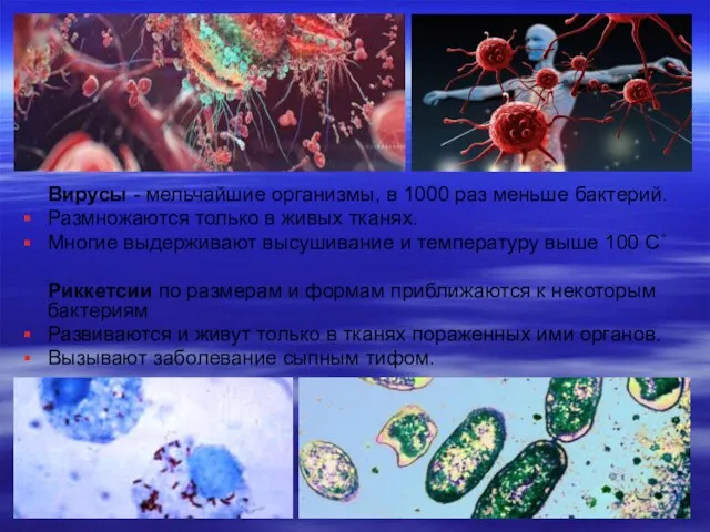Вирусы - мельчайшие организмы, в 1000 раз меньше бактерий. Размножаются только в