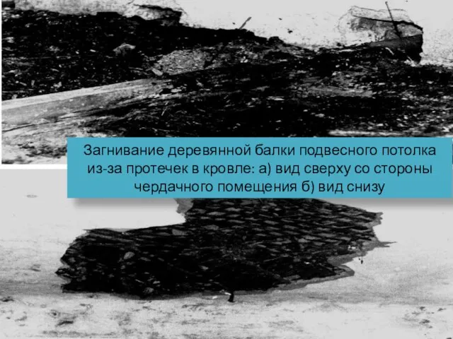 Загнивание деревянной балки подвесного потолка из-за протечек в кровле: а) вид сверху