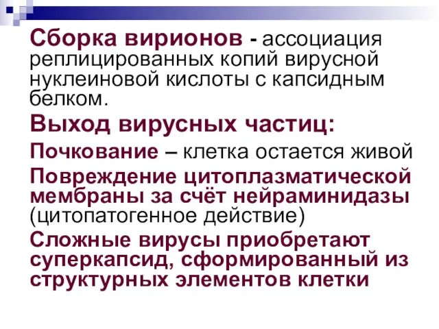 Сборка вирионов - ассоциация реплицированных копий вирусной нуклеиновой кислоты с капсидным белком.