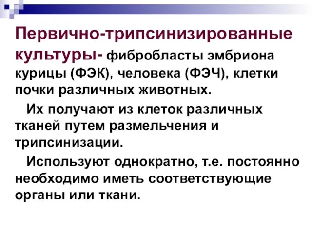 Первично-трипсинизированные культуры- фибробласты эмбриона курицы (ФЭК), человека (ФЭЧ), клетки почки различных животных.