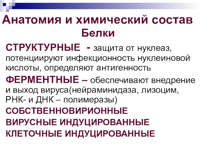 Анатомия и химический состав Белки СТРУКТУРНЫЕ - защита от нуклеаз, потенциируют инфекционность