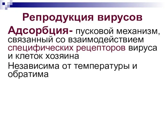 Репродукция вирусов Адсорбция- пусковой механизм, связанный со взаимодействием специфических рецепторов вируса и