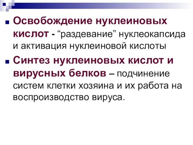 Освобождение нуклеиновых кислот - “раздевание” нуклеокапсида и активация нуклеиновой кислоты Синтез нуклеиновых