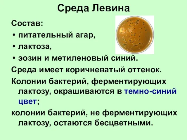 Среда Левина Состав: питательный агар, лактоза, эозин и метиленовый синий. Среда имеет