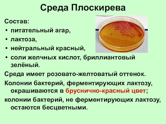 Среда Плоскирева Состав: питательный агар, лактоза, нейтральный красный, соли желчных кислот, бриллиантовый