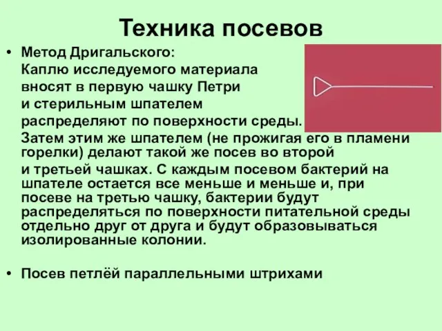 Техника посевов Метод Дригальского: Каплю исследуемого материала вносят в первую чашку Петри