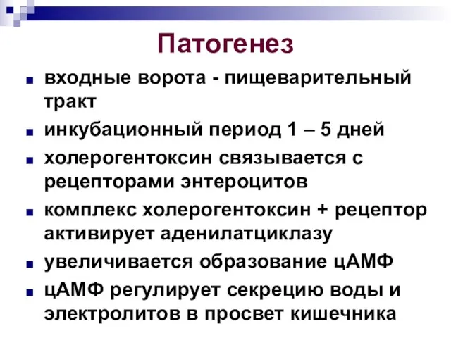 Патогенез входные ворота - пищеварительный тракт инкубационный период 1 – 5 дней