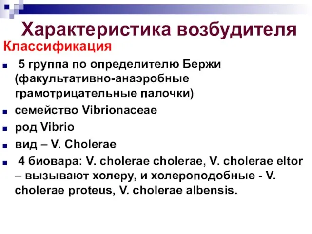 Характеристика возбудителя Классификация 5 группа по определителю Бержи (факультативно-анаэробные грамотрицательные палочки) семейство