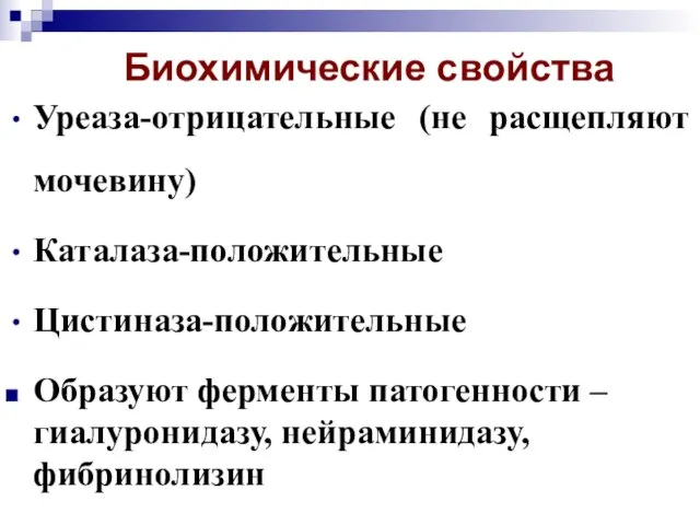 Биохимические свойства Уреаза-отрицательные (не расщепляют мочевину) Каталаза-положительные Цистиназа-положительные Образуют ферменты патогенности – гиалуронидазу, нейраминидазу, фибринолизин