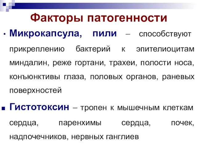 Факторы патогенности Микрокапсула, пили – способствуют прикреплению бактерий к эпителиоцитам миндалин, реже