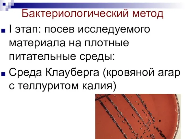 Бактериологический метод I этап: посев исследуемого материала на плотные питательные среды: Среда