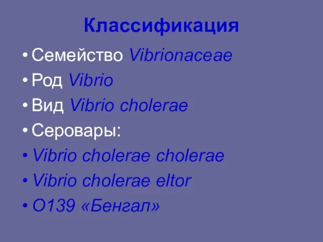 Классификация Семейство Vibrionaceae Род Vibrio Вид Vibrio cholerae Серовары: Vibrio choleraе cholerae